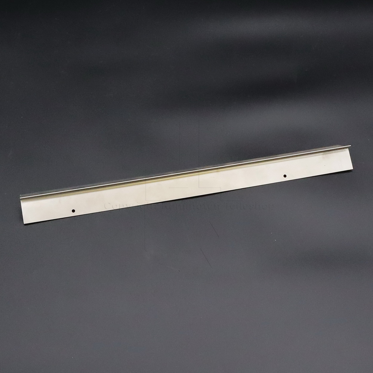 Nordpeis Salzburg M Scheibenhalteschiene unten