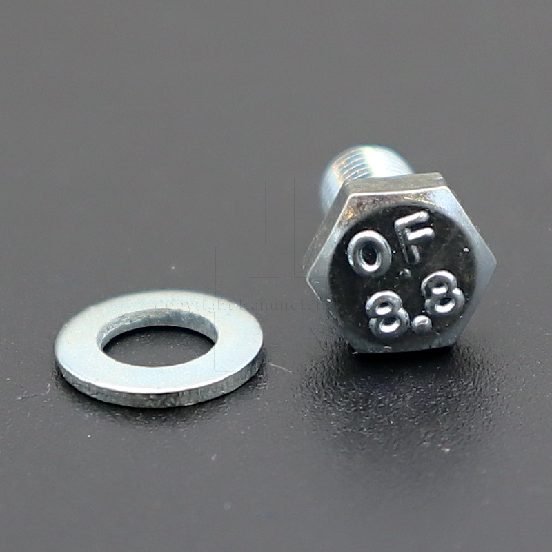 Skantherm Ragani Schraube für Innenrahmen der Tür bis Baujahr 2004