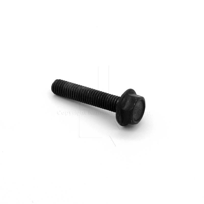 Jotul F 305 Schraube für Gussrückwandbefestigung im Brennraum