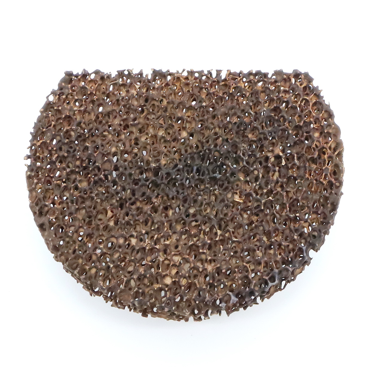 poröser Textur, braun, raue Oberfläche, organische Form, natürliches Material
