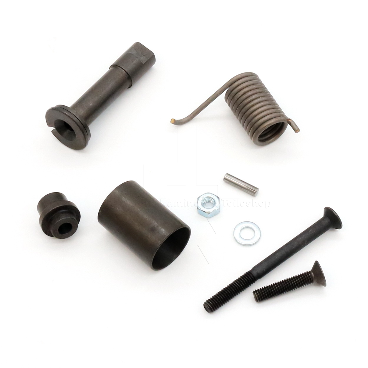 Handöl 51 Scharniersatz mit Türfeder