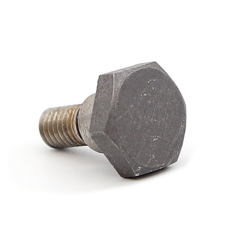 Skantherm Tano Schraube für Türverschlussmechanismus