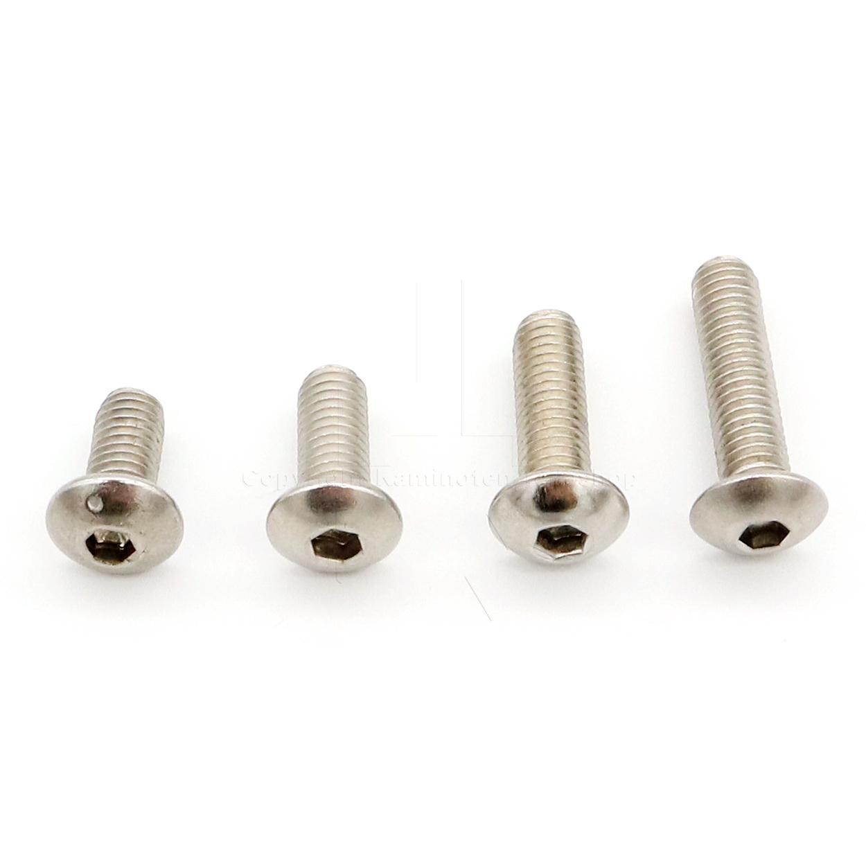 Schrauben M5 für Türinnenrahmen der Scan Kaminöfen