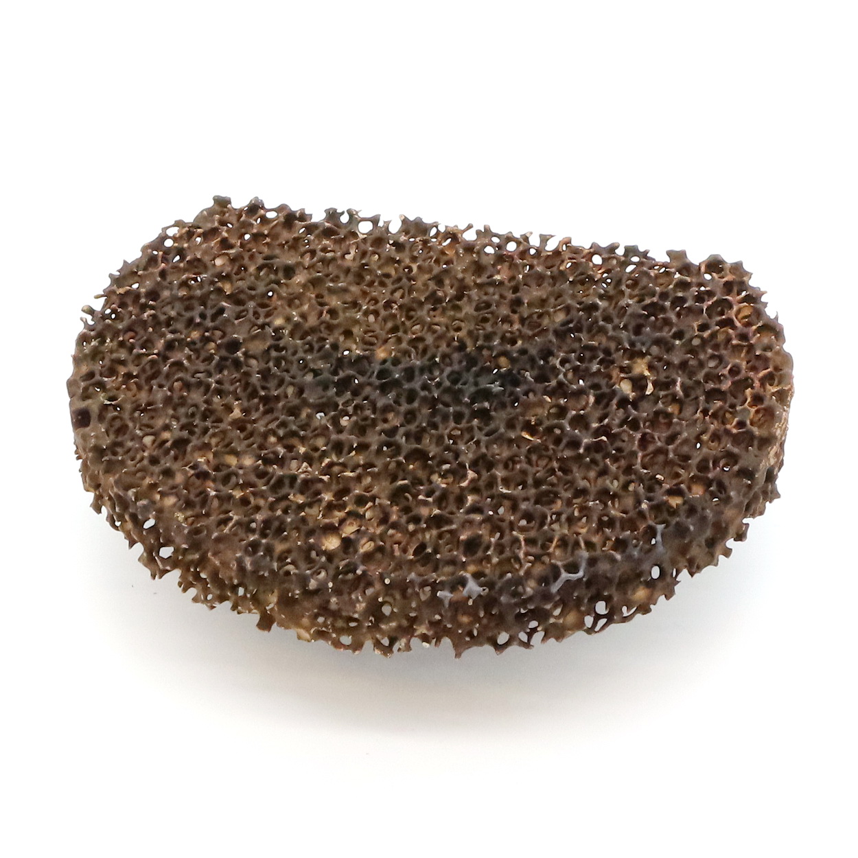Schaumstoff, Schwamm, Poröser Stein, Brown, Naturprodukt