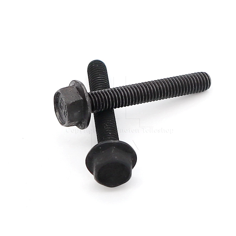 Jotul F 250 Satz Schrauben für Rückwandklammer