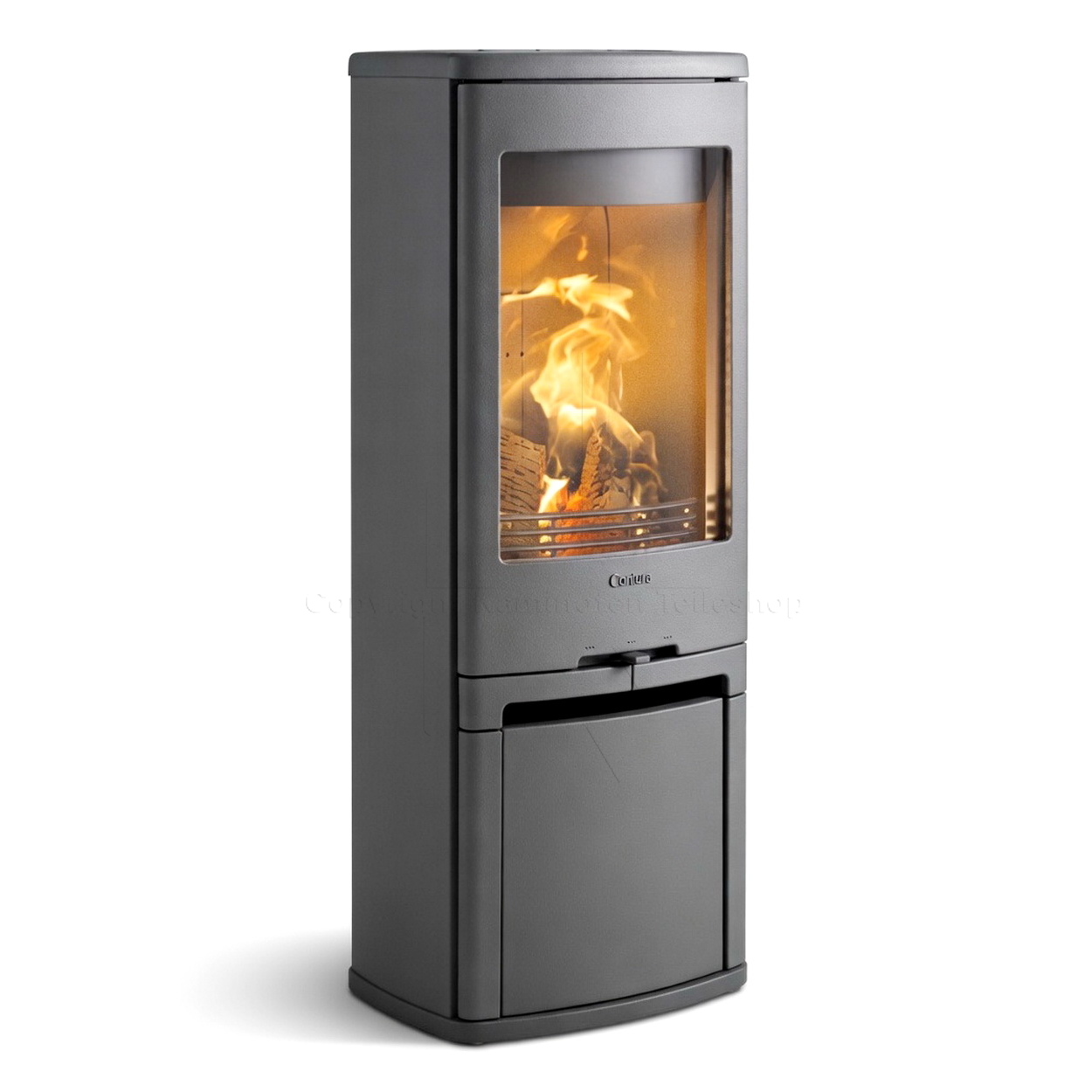 Kamin, Gaskamin, Holzofen, Stahl, Glasfront