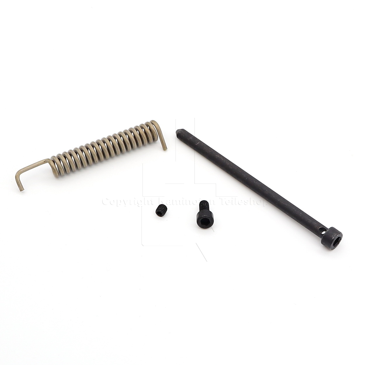 Scan 1008 Türfederset