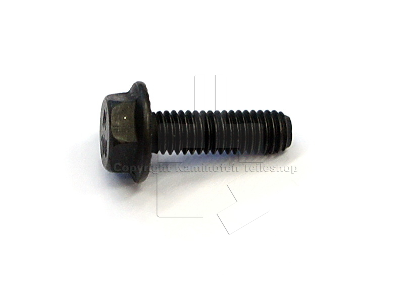 Schraube für Türfeder am Scan 63